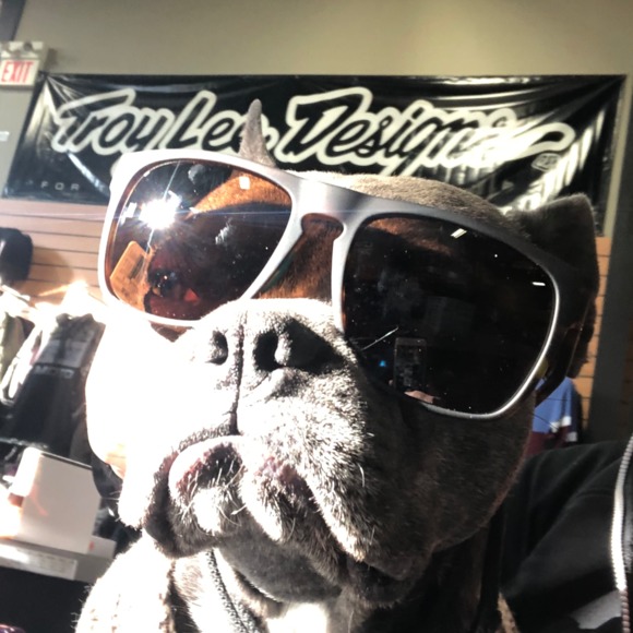 Meet your Posher, Alana - Picture 1 of 1